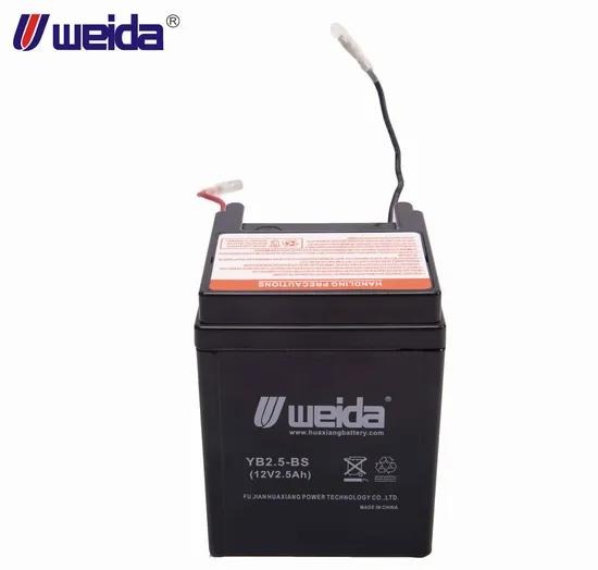 BATTERY-GEL/YTX2.5L-BS